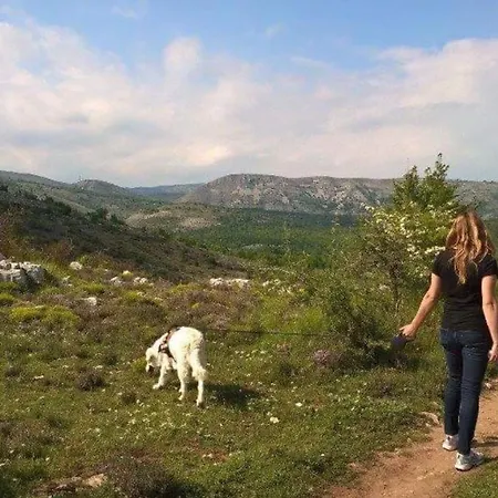 Les Mas D'azur Διαμέρισμα